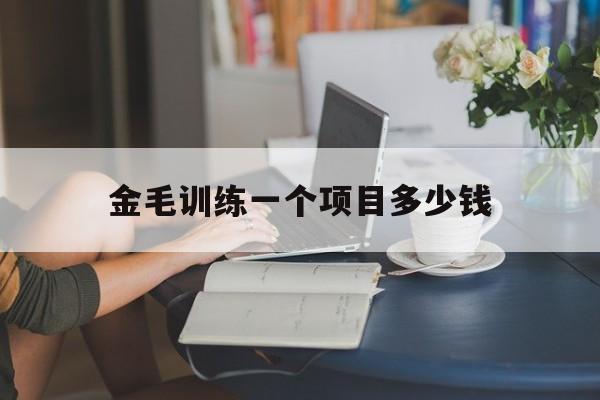 包含金毛训练一个项目多少钱的词条