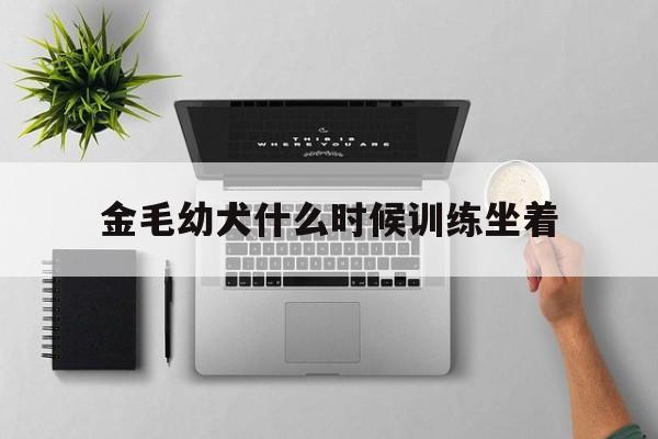 金毛幼犬什么时候训练坐着(金毛幼犬什么时候训练坐着最好)