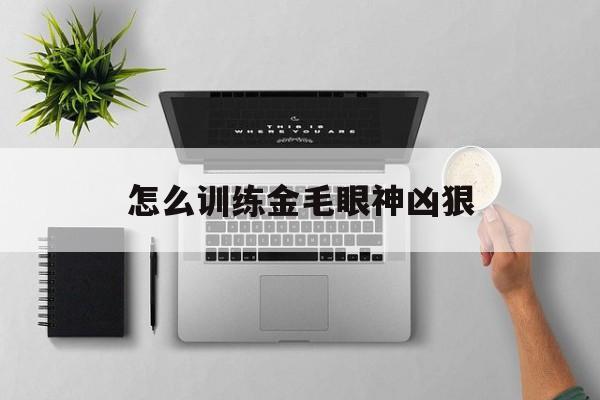 怎么训练金毛眼神凶狠(怎么训练金毛眼神凶狠的方法)
