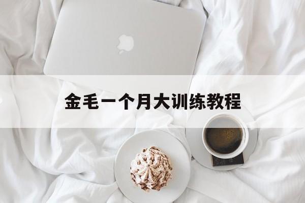 金毛一个月大训练教程(金毛犬一个月怎么训练大小便)