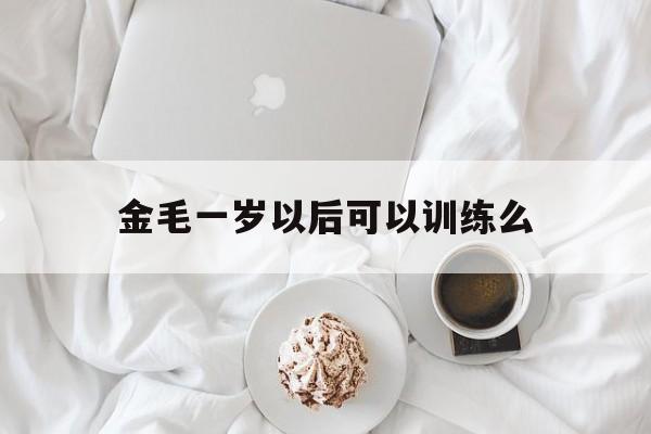 金毛一岁以后可以训练么(金毛犬一岁了还能训出来吗)