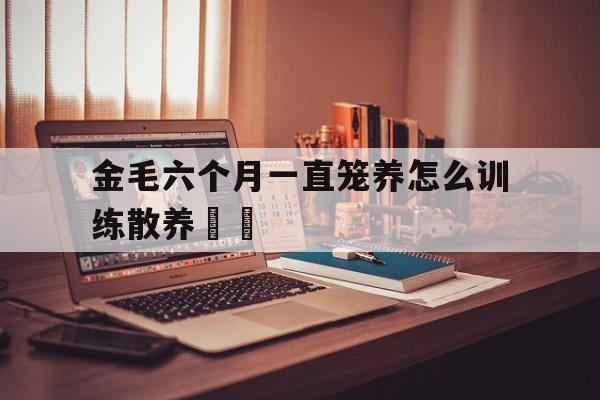 金毛六个月一直笼养怎么训练散养的简单介绍