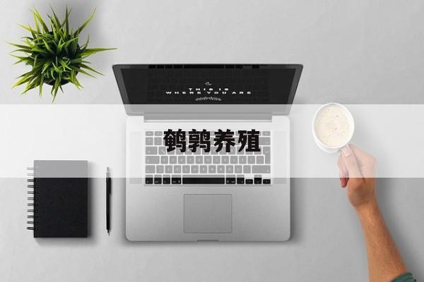 鹌鹑养殖(鹌鹑养殖基地在哪里)