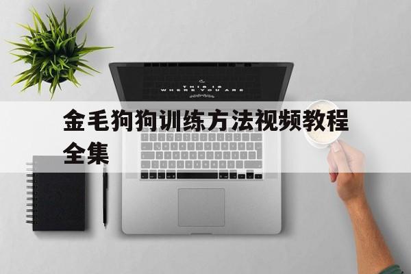 金毛狗狗训练方法视频教程全集(金毛狗狗训练方法视频教程全集大全)