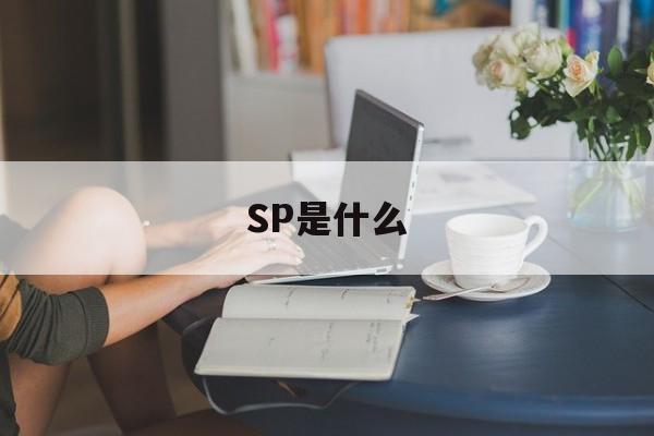 SP是什么(sp是什么意思网络词)