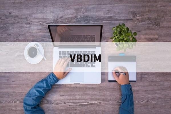 VBDIM(vb中dim什么意思)