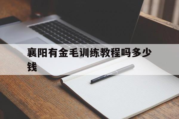 襄阳有金毛训练教程吗多少钱的简单介绍