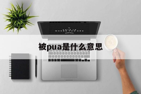 被pua是什么意思(经常被pua是什么意思)