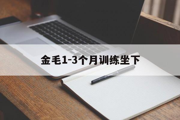 包含金毛1-3个月训练坐下的词条