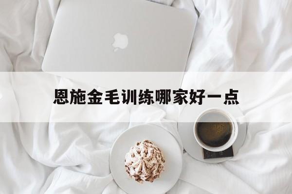 恩施金毛训练哪家好一点(恩施金毛训练哪家好一点啊)
