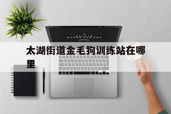 太湖街道金毛狗训练站在哪里(太湖街道金毛狗训练站在哪里办证)