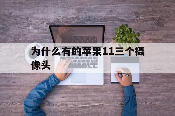 为什么有的苹果11三个摄像头(为什么iphone11有的三个摄像头有的两个)