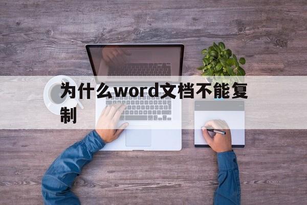 为什么word文档不能复制(为什么word文档不能复制和打字)