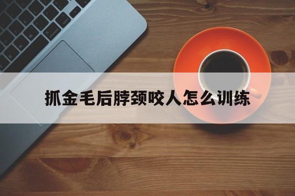 抓金毛后脖颈咬人怎么训练(抓金毛后脖颈咬人怎么训练的)