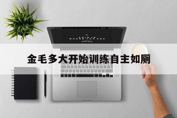 金毛多大开始训练自主如厕(金毛多大开始训练定时大小便)