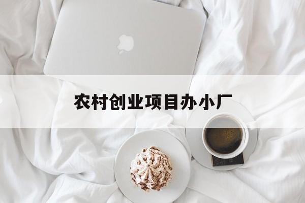 农村创业项目办小厂(农村创业办厂做什么产品好)