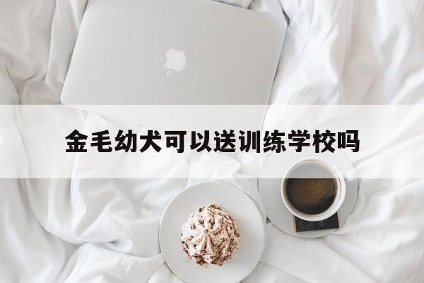 金毛幼犬可以送训练学校吗(金毛幼犬可以送训练学校吗知乎)