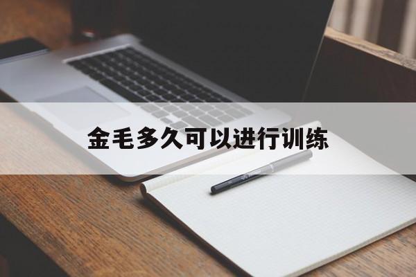 金毛多久可以进行训练(金毛多久训练成果最有效)