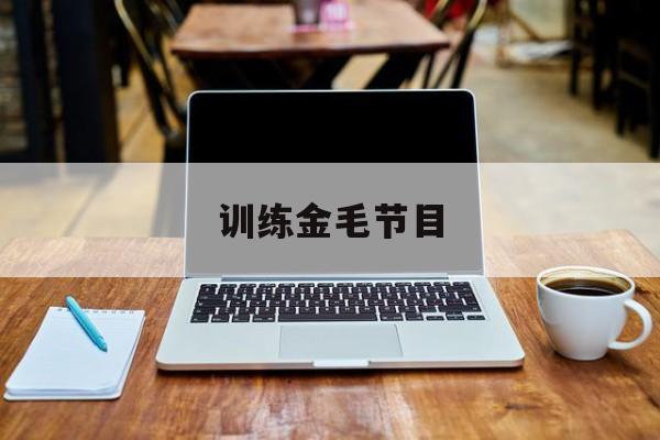 训练金毛节目(训练金毛的专用术语大全)