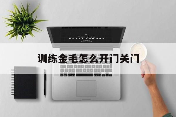 训练金毛怎么开门关门(金毛狗怎么训练定点大小便)