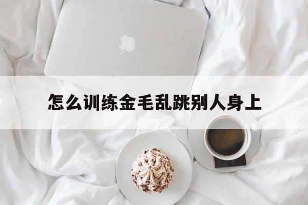 怎么训练金毛乱跳别人身上(怎么训练金毛出门跟着主人走)