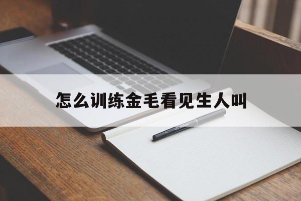 怎么训练金毛看见生人叫(怎么让金毛知道主人生气了)