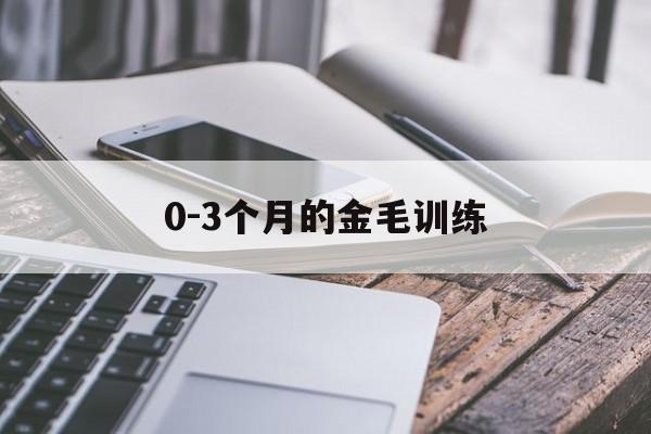 0-3个月的金毛训练(金毛训练最佳时期是几个月)