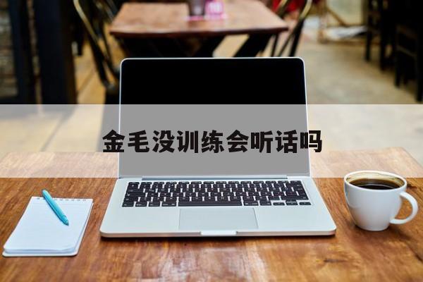 金毛没训练会听话吗(金毛没训练会听话吗为什么)