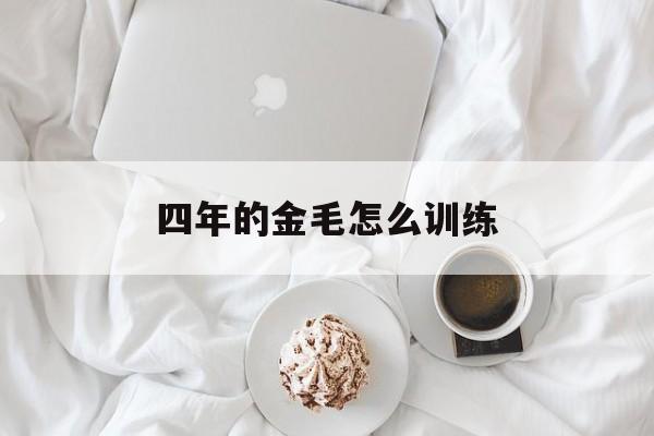 四年的金毛怎么训练(四年的金毛还可以再训练吗?)