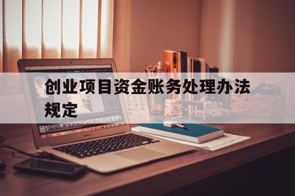 创业项目资金账务处理办法规定(创业项目资金账务处理办法规定有哪些)