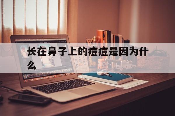 长在鼻子上的痘痘是因为什么(长在鼻子上的痘痘是因为什么原因)