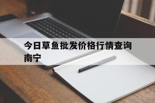今日草鱼批发价格行情查询南宁(今日草鱼批发价格行情查询南宁地址)