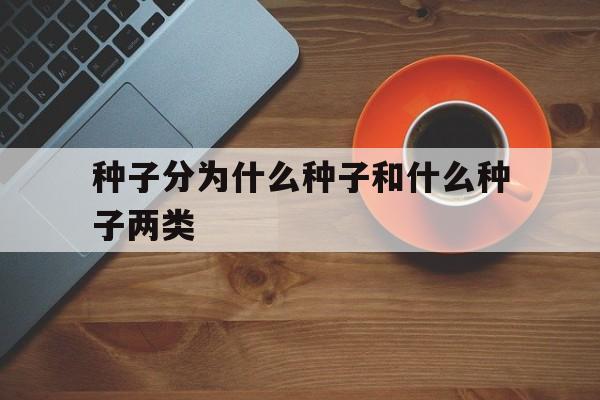 包含种子分为什么种子和什么种子两类的词条