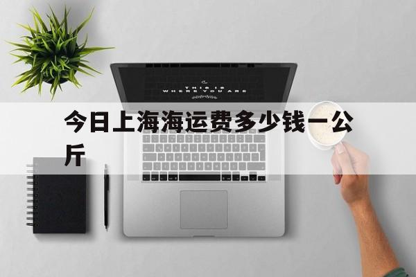 今日上海海运费多少钱一公斤(今日上海海运费多少钱一公斤啊)