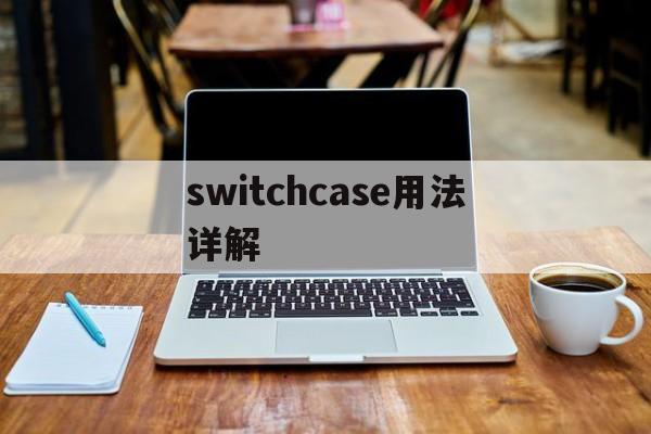 switchcase用法详解(switchcase语句用法举例)