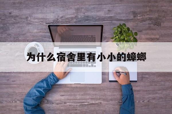 为什么宿舍里有小小的蟑螂(为什么宿舍里有小小的蟑螂呢)