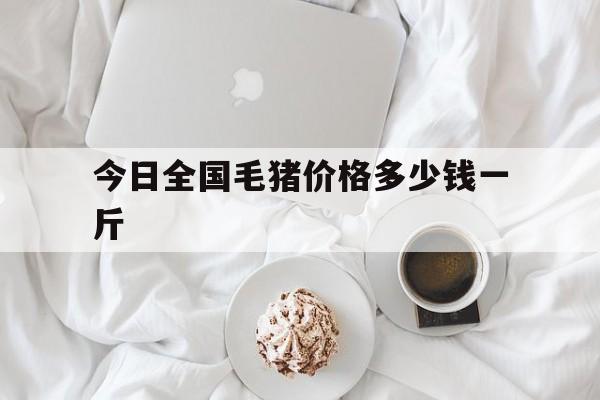 今日全国毛猪价格多少钱一斤(今天毛猪多少钱一斤全国平均价多少钱一斤)