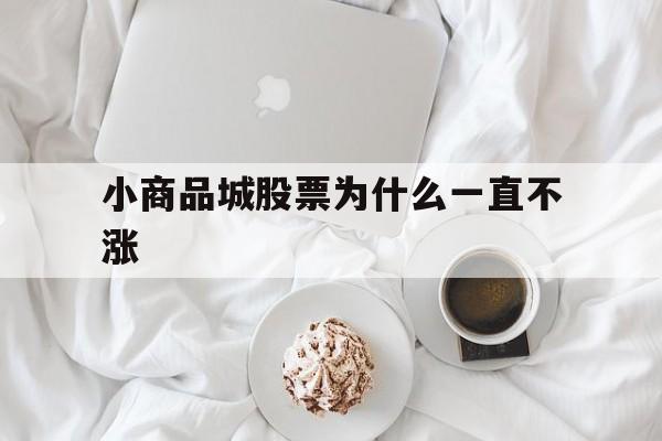 小商品城股票为什么一直不涨(小商品城股票为什么一直不涨呢)