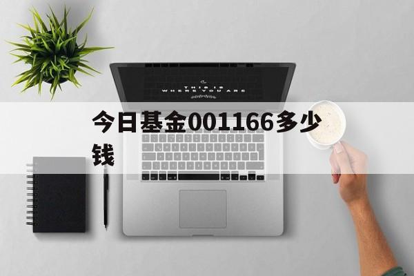 今日基金001166多少钱(基金001167今日净值查询)
