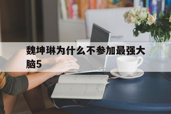 魏坤琳为什么不参加最强大脑5(最强大脑魏坤琳个人资料简介 魏坤琳身高)