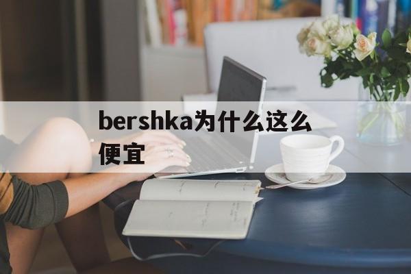 bershka为什么这么便宜(为什么be@rbrick这么贵)