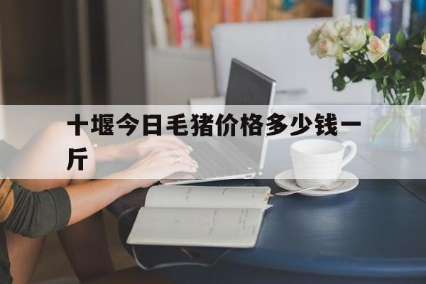 十堰今日毛猪价格多少钱一斤(十堰今日毛猪价格多少钱一斤啊)