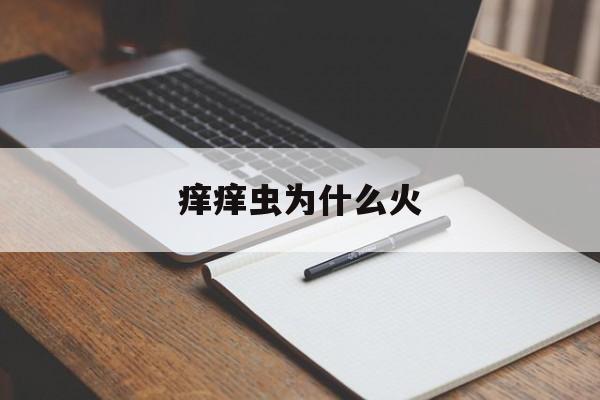 痒痒虫为什么火(痒痒虫为什么不火了)