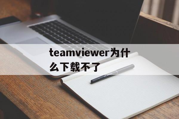 teamviewer为什么下载不了(teamviewerportable下载)