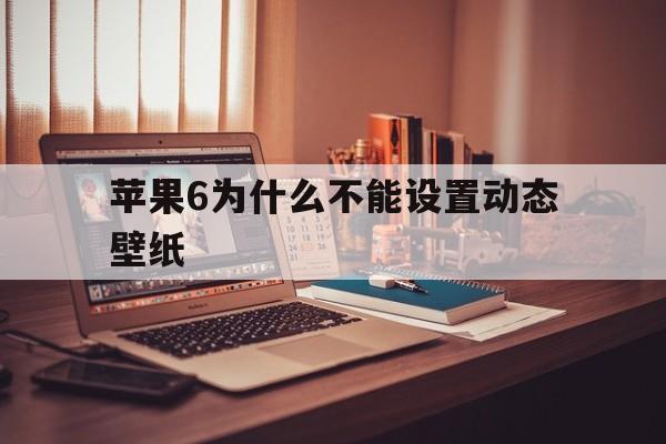 苹果6为什么不能设置动态壁纸(iphone6为什么不能设置动态壁纸)