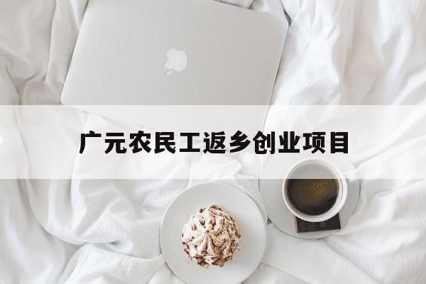 广元农民工返乡创业项目(农民工返乡创业政府给哪些政策支持)