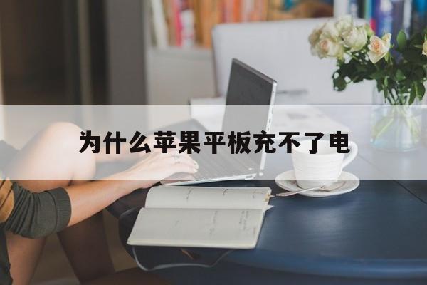 为什么苹果平板充不了电(苹果平板充不了电是什么问题)