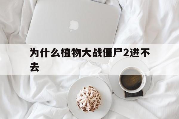 为什么植物大战僵尸2进不去(为什么植物大战僵尸进不去电脑)