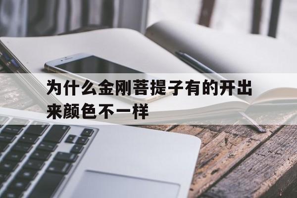 为什么金刚菩提子有的开出来颜色不一样(为什么金刚菩提子有的开出来颜色不一样呢)