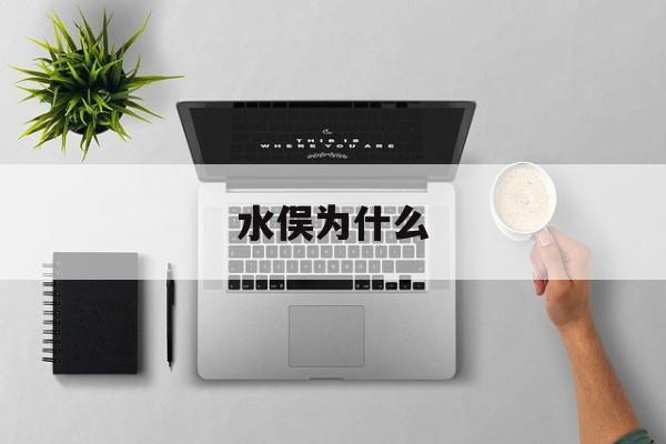 水俣为什么(水俣为什么十年没解决)